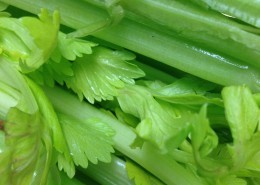 绿色的芹菜图片