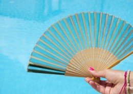 日本典雅折扇图片