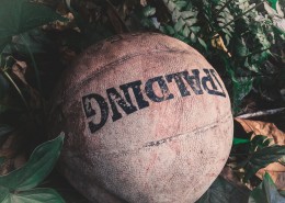 篮球的特写图片