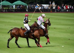 紧张激烈的马球运动图片