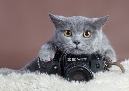 Zenit相机图片