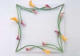缠绕相框的花朵图片