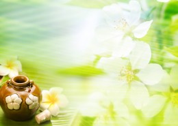 水疗SPA背景图片