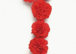 花形数字与字母图片