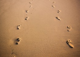 人走后留下来的脚印图片
