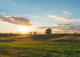宽广的草原图片