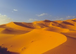 壮丽的沙漠图片