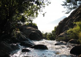 缓缓流淌的小溪图片