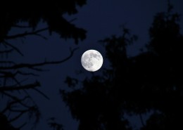 圆圆的月亮图片