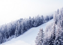自然雪景风景图片