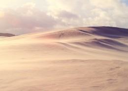 沙漠戈壁风景图片