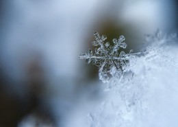 晶莹的雪花图片