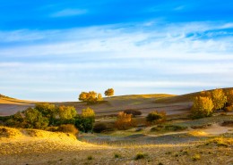 让人震撼的内蒙古乌兰布统唯美秋季自然风景图片