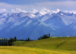 新疆伊犁喀拉峻大草原自然风景图片