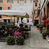 意大利的花店图片