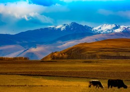 四川川西风景图片