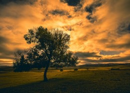 金秋乌兰布统风景图片