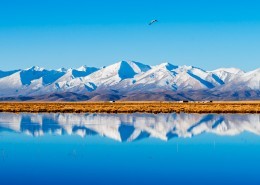 西藏阿里风景图片