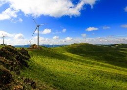 河北草原天路风景图片