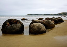 新西兰蓝岛摩拉基大圆石图片