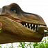 恐龙模型和恐龙化石图片