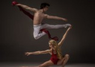 双人芭蕾舞表演图片