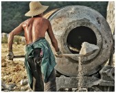 在工作的人们图片