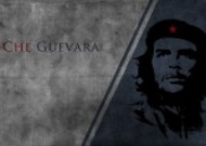 自由的战士切格瓦拉图片