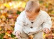 坐在枫叶上玩耍的可爱小男孩图片大全