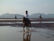 人与马友好图片大全