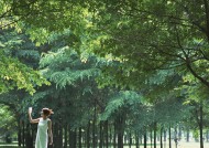 女性和绿色森林图片大全