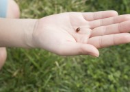 青少年外出郊游图片