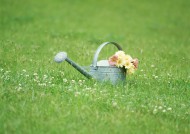 草地玩耍女性图片