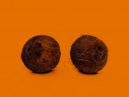 椰子的高清图片