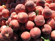 红彤彤的桃子图片