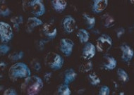 深蓝色的蓝莓图片