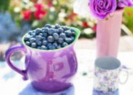 清香可口的蓝莓图片