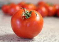 新鲜鲜红的番茄图片