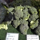 绿色新鲜的西兰花图片大全