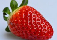 一颗熟透的草莓图片大全