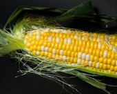 颗粒饱满的玉米图片