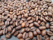 醇香的咖啡豆图片大全