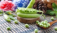 绿色营养的豌豆图片