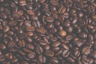 数量庞大的咖啡豆图片大全