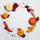 可口的南瓜图片