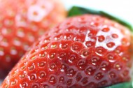 美味可口的红色草莓图片