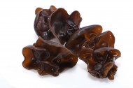 新鲜有机黑色木耳图片