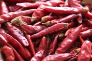 辛辣的小红辣椒图片