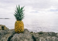 形态不一的菠萝图片