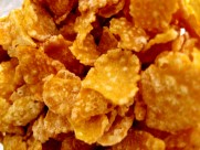 香脆的玉米饼图片